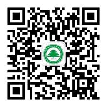 af8697533de0aafc376c08abfeaec8cb