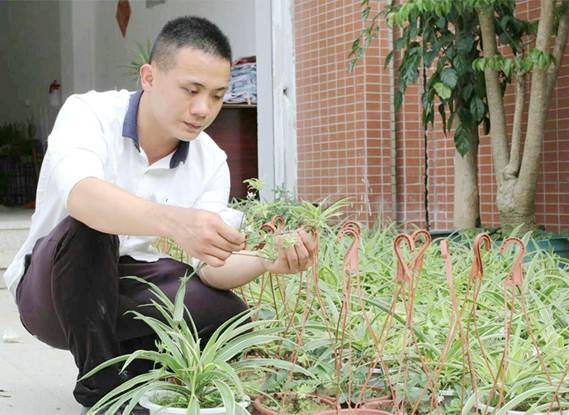 说明: http://www.fjlzy.com/__local/7/99/4a/4fbdddb84095e63cf2212a450d0_8115f693_68113.jpg?e=.jpg